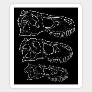 Daspletosaurus Tarbosaurus Tyrannosaurus Rex fossil skulls Sticker